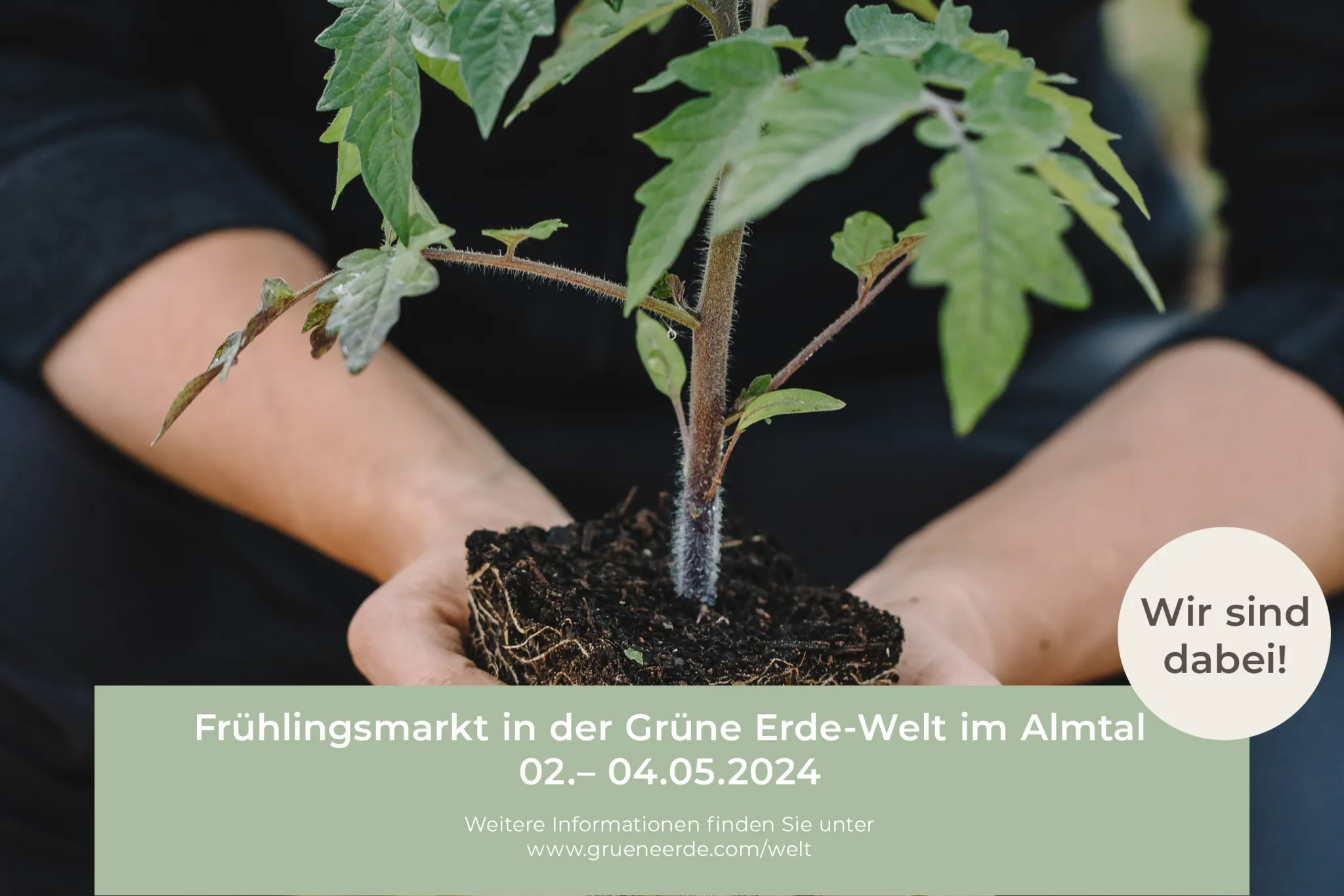 Frühlingsmarkt: Olio Glorioso zu Gast in der Grünen Erde-Welt