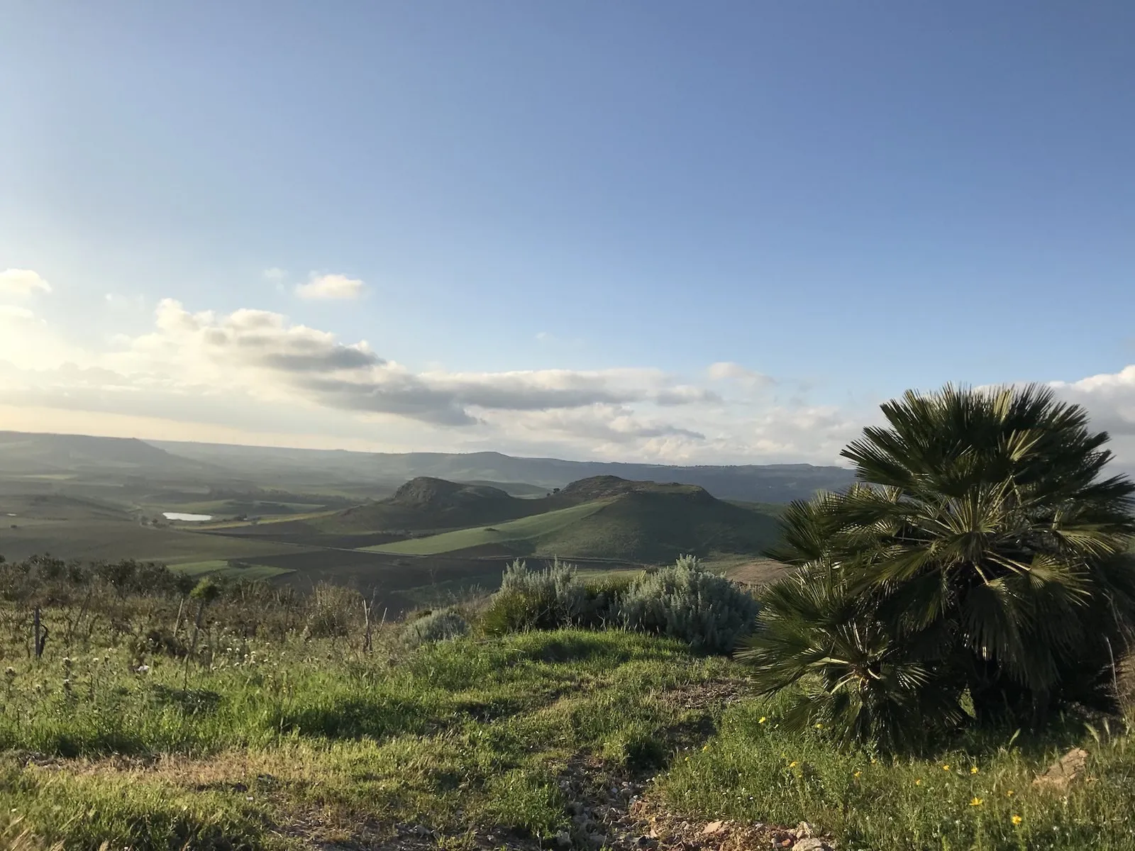 Wir halten Euch am Laufenden – alle werkeln was das Zeug hält!